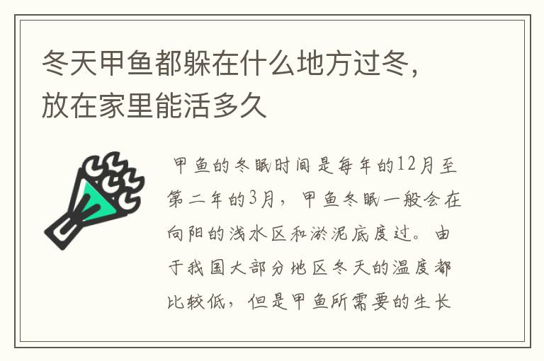冬天甲鱼都躲在什么地方过冬,放在家里能活多久