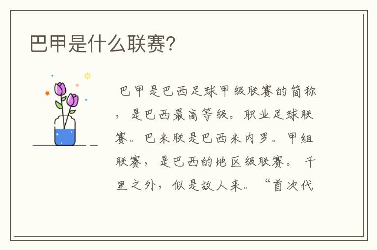 巴甲是什么联赛?