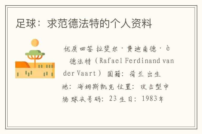 足球:求范德法特的个人资料