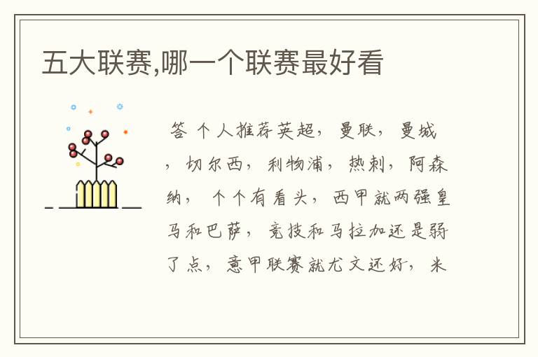 五大联赛,哪一个联赛最好看