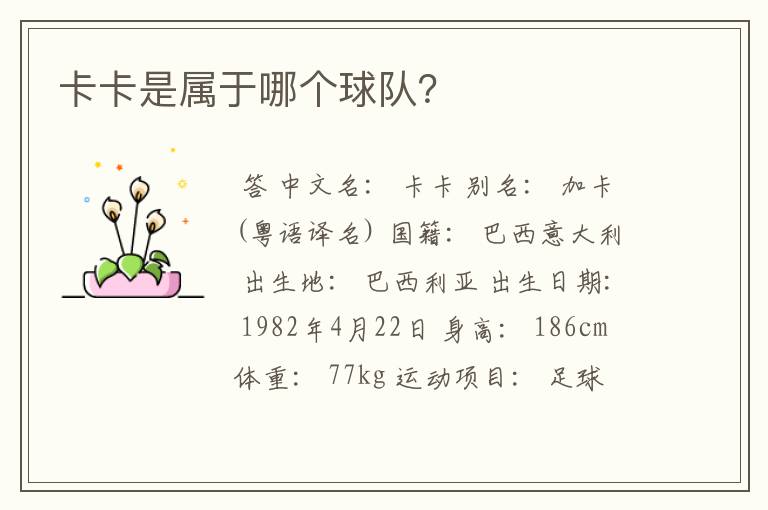 卡卡是属于哪个球队?