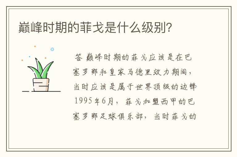 巅峰时期的菲戈是什么级别?