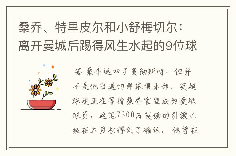 桑乔、特里皮尔和小舒梅切尔:离开曼城后踢得风生水起的9位球员