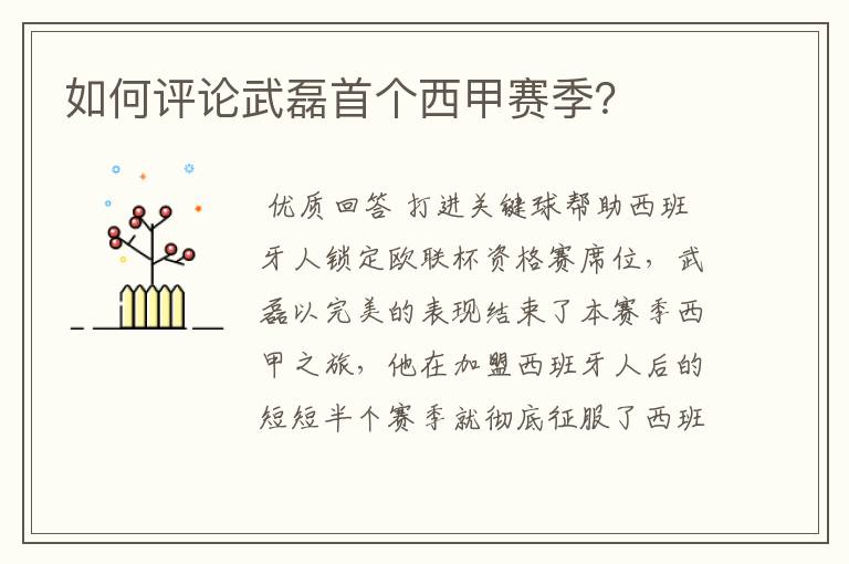 如何评论武磊首个西甲赛季?
