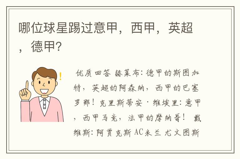 哪位球星踢过意甲,西甲,英超,德甲?