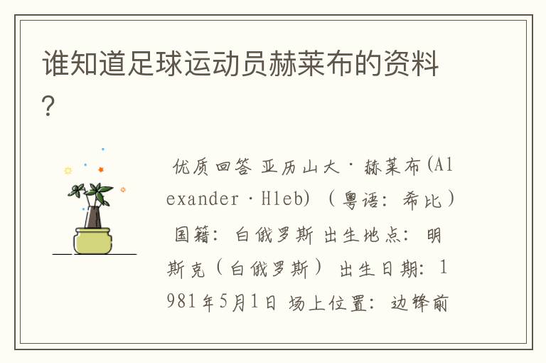 谁知道足球运动员赫莱布的资料?