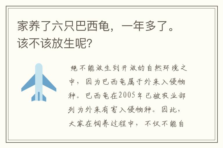 家养了六只巴西龟,一年多了。该不该放生呢?