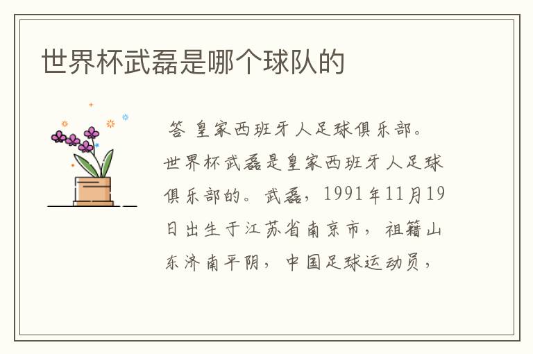 世界杯武磊是哪个球队的