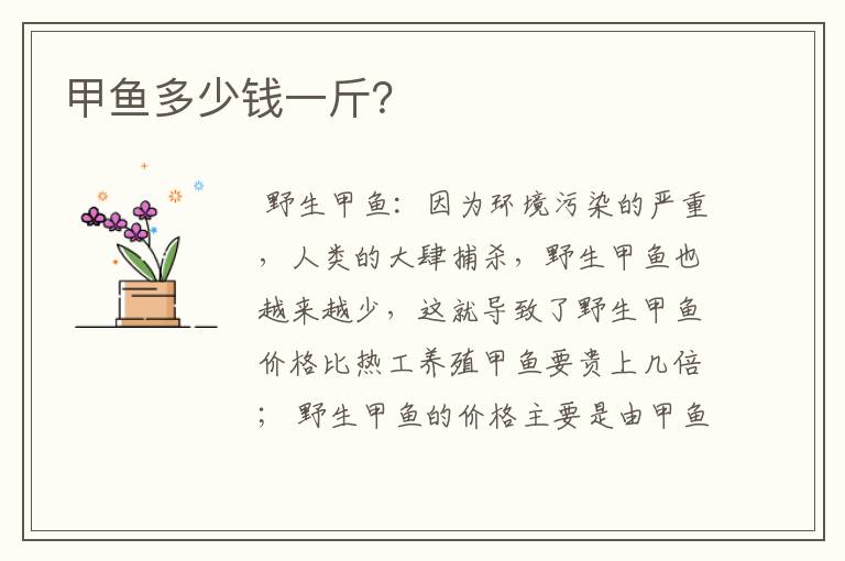 甲鱼多少钱一斤?