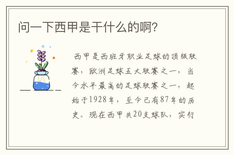 问一下西甲是干什么的啊?