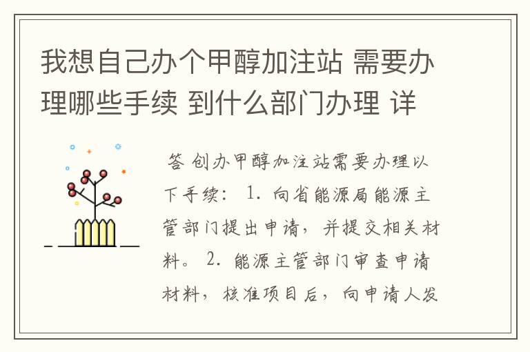 我想自己办个甲醇加注站 需要办理哪些手续 到什么部门办理 详细点的