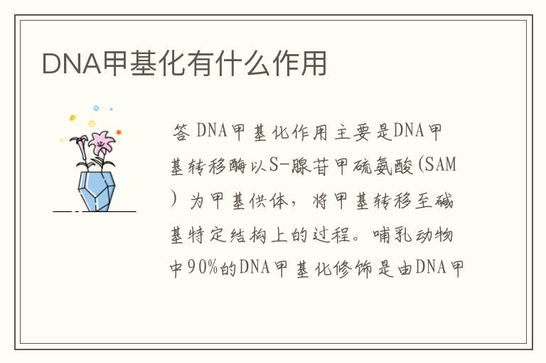 DNA甲基化有什么作用