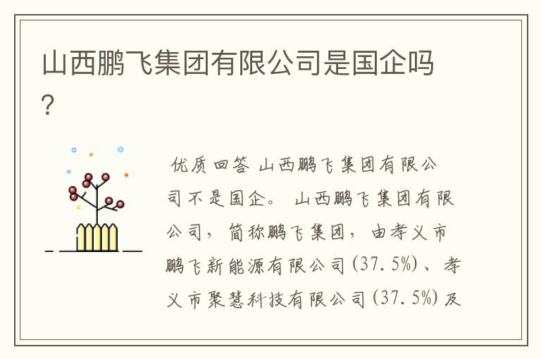 山西鹏飞集团有限公司是国企吗?