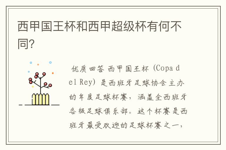 西甲国王杯和西甲超级杯有何不同?