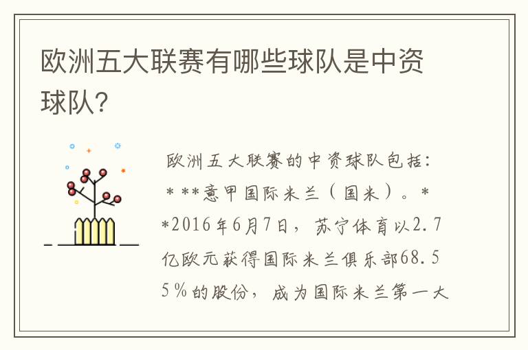欧洲五大联赛有哪些球队是中资球队?