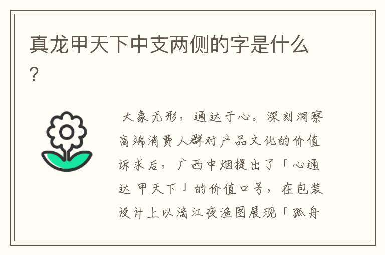 真龙甲天下中支两侧的字是什么?