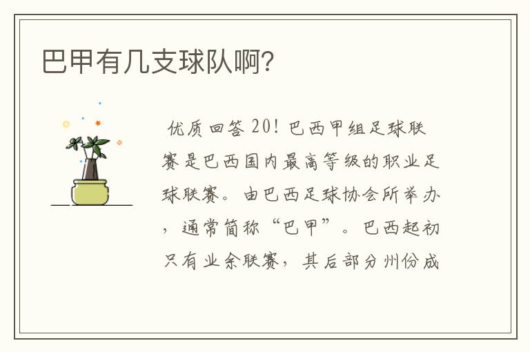 巴甲有几支球队啊?