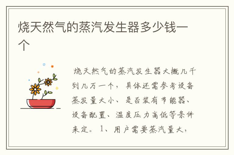 烧天然气的蒸汽发生器多少钱一个