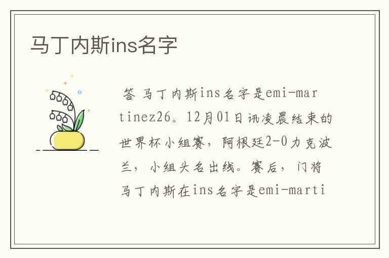 马丁内斯ins名字