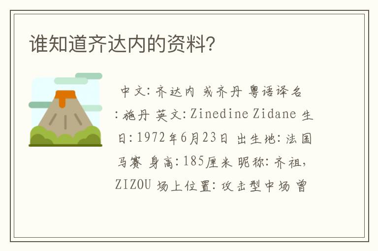 谁知道齐达内的资料?