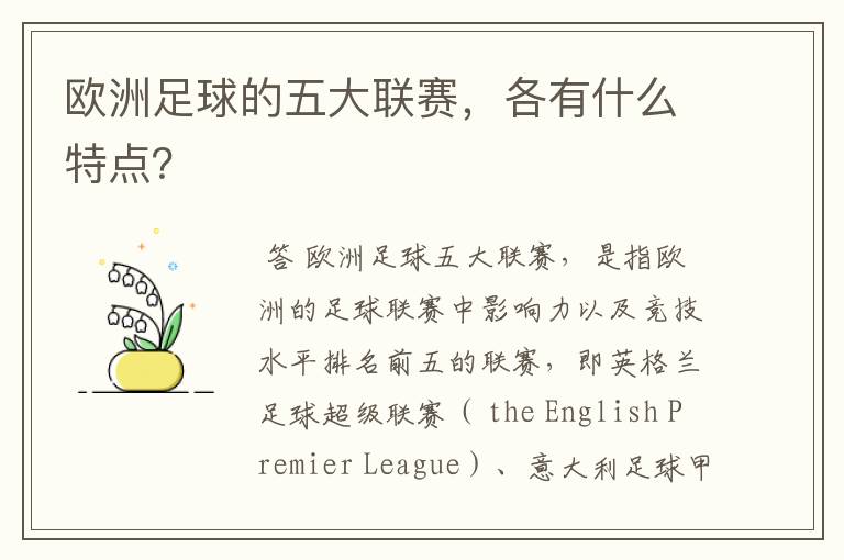 欧洲足球的五大联赛，各有什么特点？