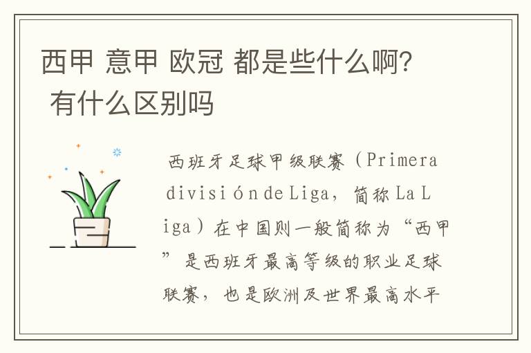 西甲 意甲 欧冠 都是些什么啊? 有什么区别吗