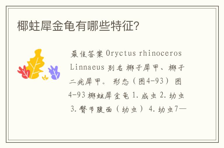 椰蛀犀金龟有哪些特征?