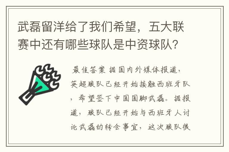 武磊留洋给了我们希望,五大联赛中还有哪些球队是中资球队?