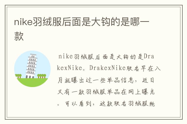 nike羽绒服后面是大钩的是哪一款