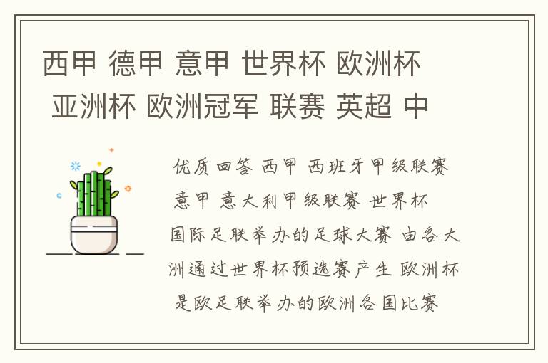 西甲 德甲 意甲 世界杯 欧洲杯 亚洲杯 欧洲冠军 联赛 英超 中超 分别是什么意思啊?