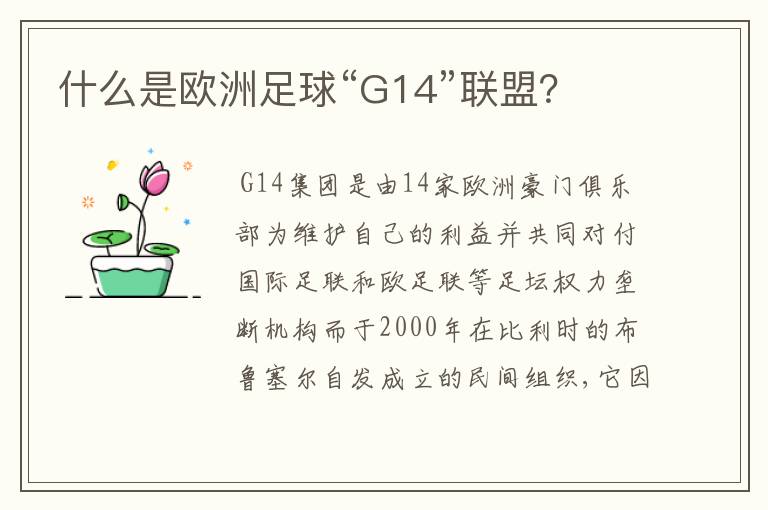 什么是欧洲足球“G14”联盟?