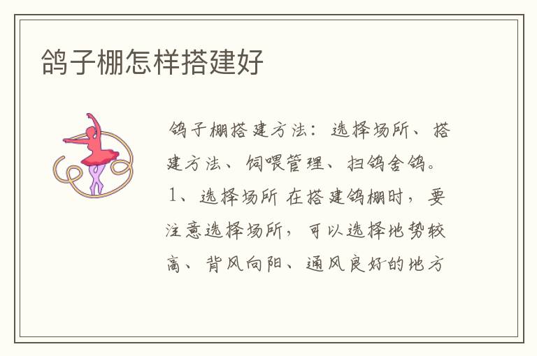 鸽子棚怎样搭建好