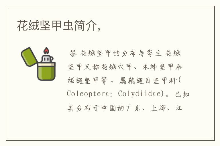 花绒坚甲虫简介,