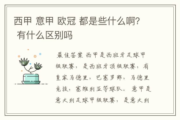 西甲 意甲 欧冠 都是些什么啊? 有什么区别吗