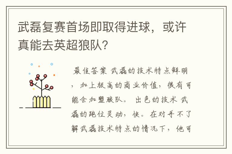 武磊复赛首场即取得进球,或许真能去英超狼队?