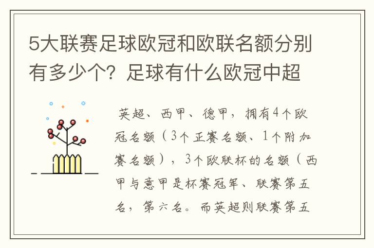 5大联赛足球欧冠和欧联名额分别有多少个?足球有什么欧冠中超还
