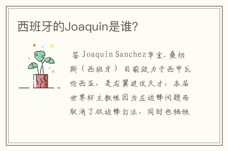 西班牙的Joaquin是谁?