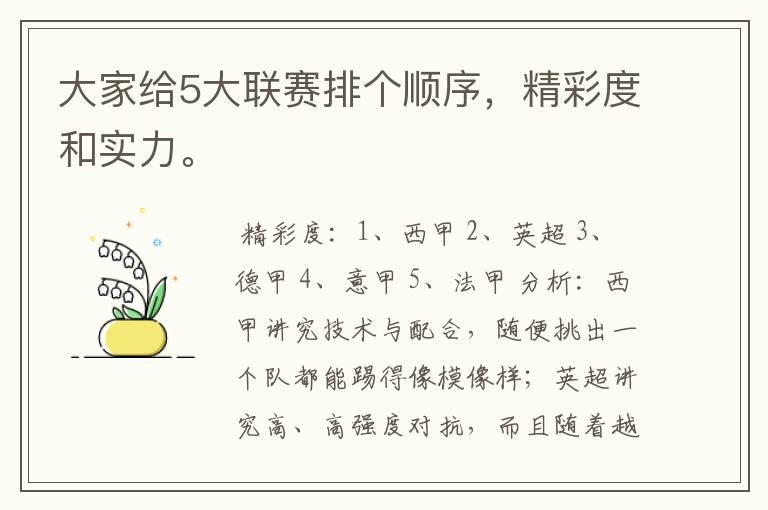 大家给5大联赛排个顺序,精彩度和实力。