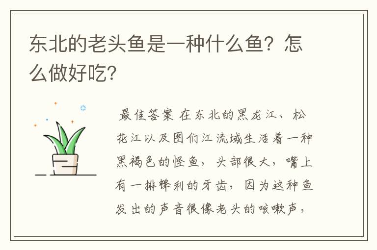 东北的老头鱼是一种什么鱼?怎么做好吃?