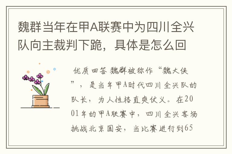 魏群当年在甲A联赛中为四川全兴队向主裁判下跪,具体是怎么回事?
