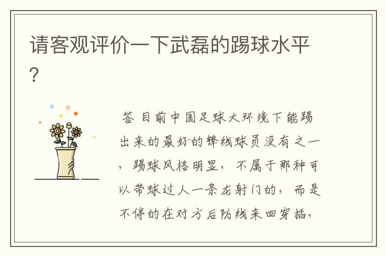 请客观评价一下武磊的踢球水平?