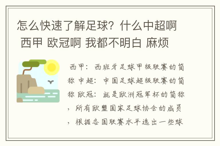 怎么快速了解足球?什么中超啊 西甲 欧冠啊 我都不明白 麻烦 有哪位特别了解足球的 跟我讲讲,多谢