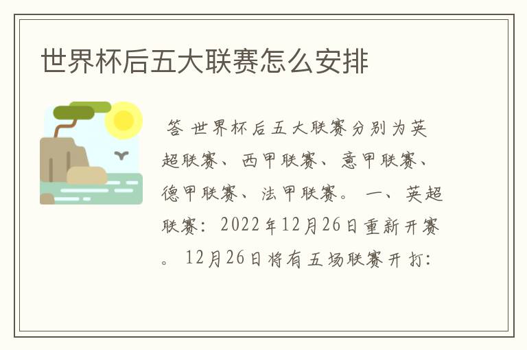 世界杯后五大联赛怎么安排