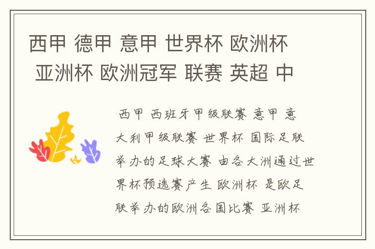 西甲 德甲 意甲 世界杯 欧洲杯 亚洲杯 欧洲冠军 联赛 英超 中超 分别是什么意思啊?