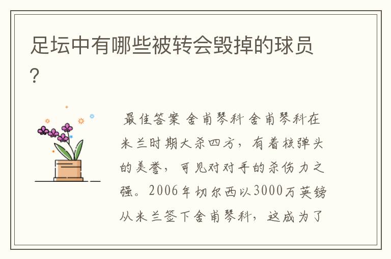 足坛中有哪些被转会毁掉的球员?