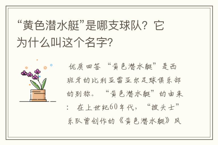 “黄色潜水艇”是哪支球队?它为什么叫这个名字?