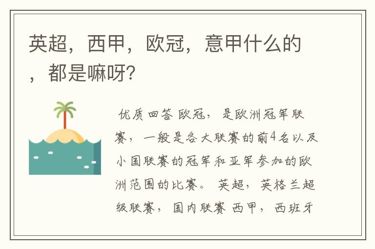 英超,西甲,欧冠,意甲什么的,都是嘛呀?