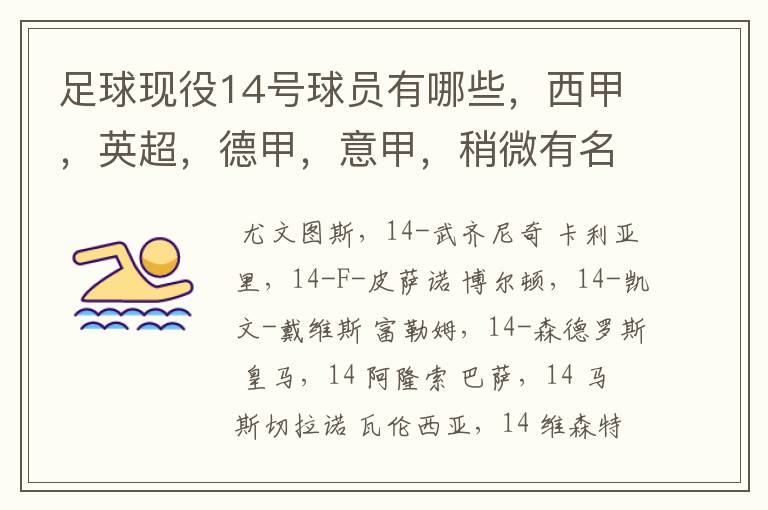 足球现役14号球员有哪些,西甲,英超,德甲,意甲,稍微有名气点的。 除了沃尔科特,埃尔南德斯,莫得里奇