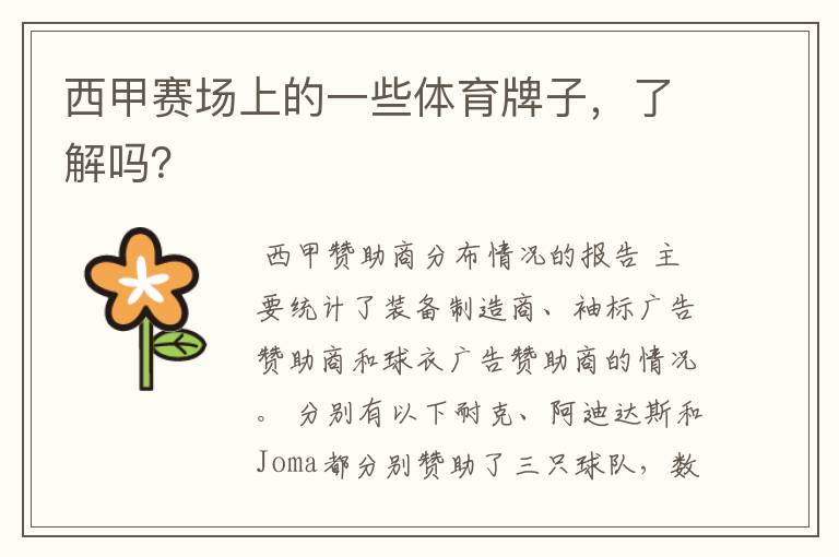 西甲赛场上的一些体育牌子,了解吗?