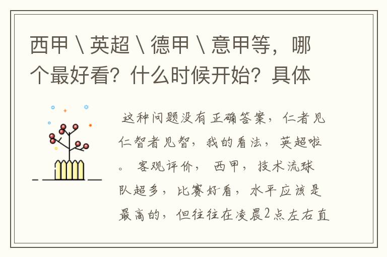 西甲\英超\德甲\意甲等,哪个最好看?什么时候开始?具体时间?